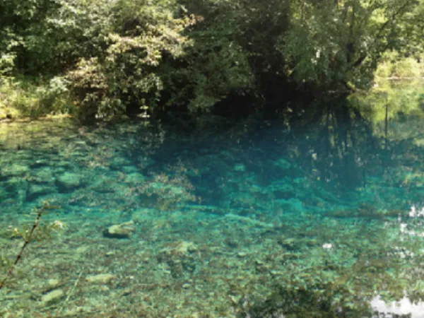 Tratamento de água de jardinagem e paisagismo